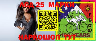 ешки Гатчина