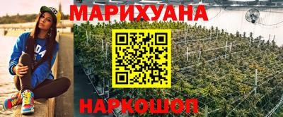 ешки Гатчина