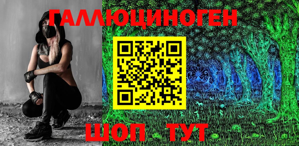 Галлюциногенные грибы Psilocybine cubensis  Вход с VPN  Дагестанские Огни 