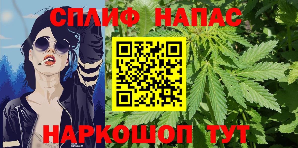 Шишки марихуана планчик  Марихуана White Widow  Конопля планчик  Дагестанские Огни  Вход с VPN  Шишки марихуана марихуана 